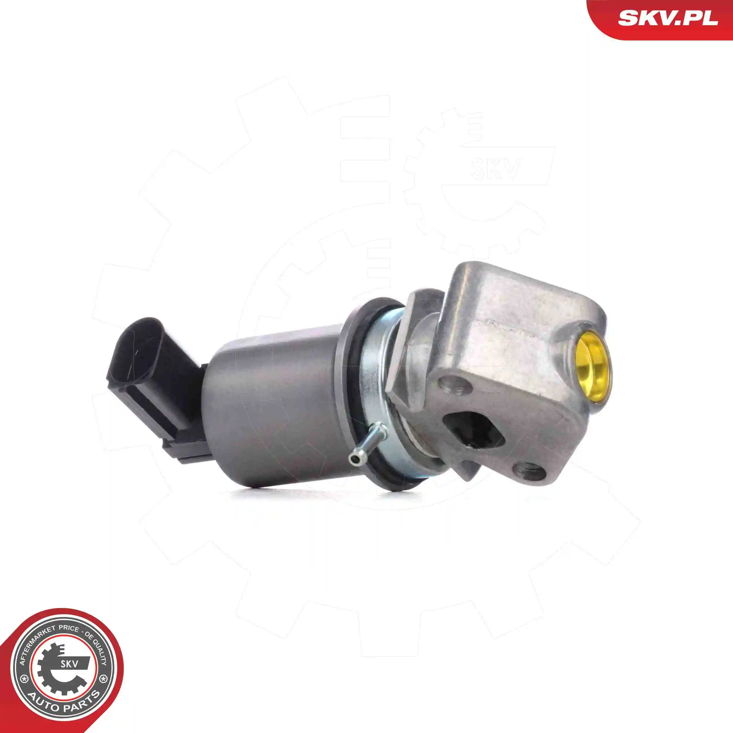 EGR Valve